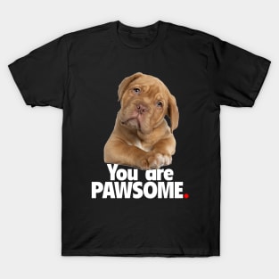 You are PAWSOME - Dark T-Shirt